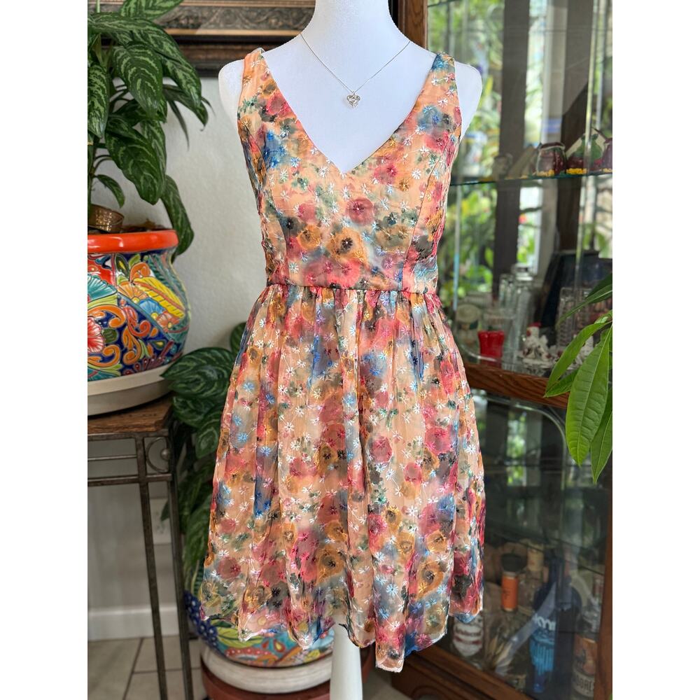 Minuet fairycore floral mini dress